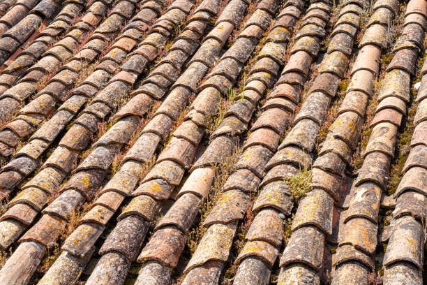 Clay Tile Roofing