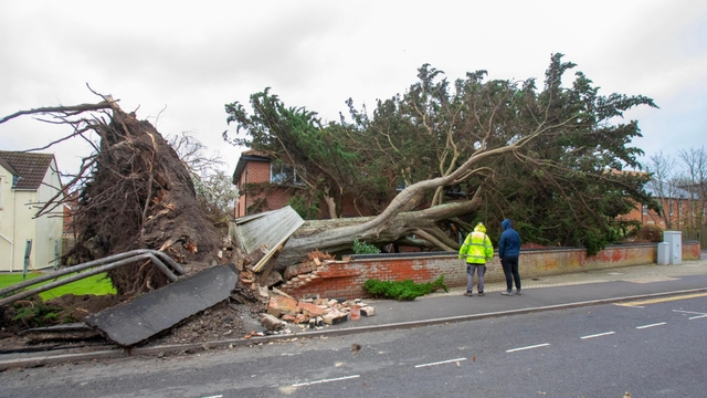 Storm Damage Repairs